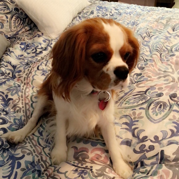 Meet your Posher, Dania - Picture 1 of 1